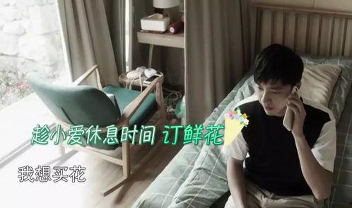 吃瓜情报站视频下载,视频下载攻略大公开