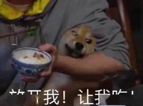 瓜哥带你吃瓜喝酒视频大全,海量吃瓜喝酒瞬间回顾